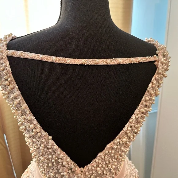 Blush pink Wedding Dress w/detachable train! Hand beaded pearls and lace! - Picture 5 of 12